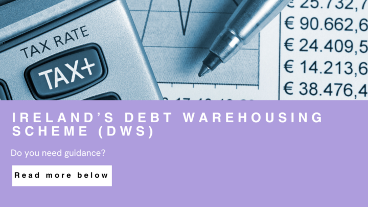 Ireland’s Debt Warehousing Scheme (DWS)